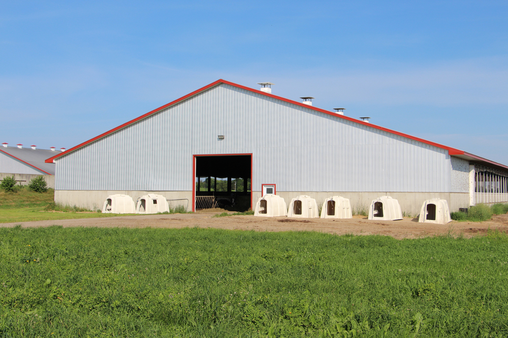 What Are Metal Pole Barns