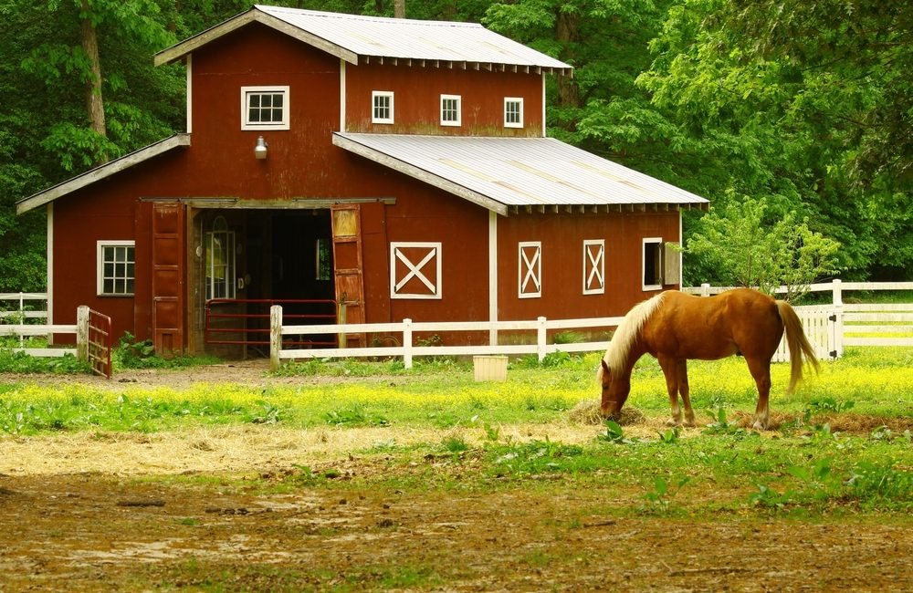 A Common Size For a Horse Metal Barn