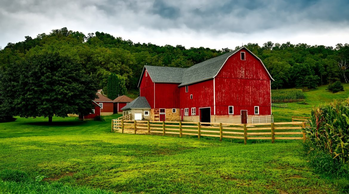 Learn About The Different Types Of Barns